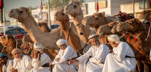 قبيلة هذيل (إحدى قبائل الحجاز)