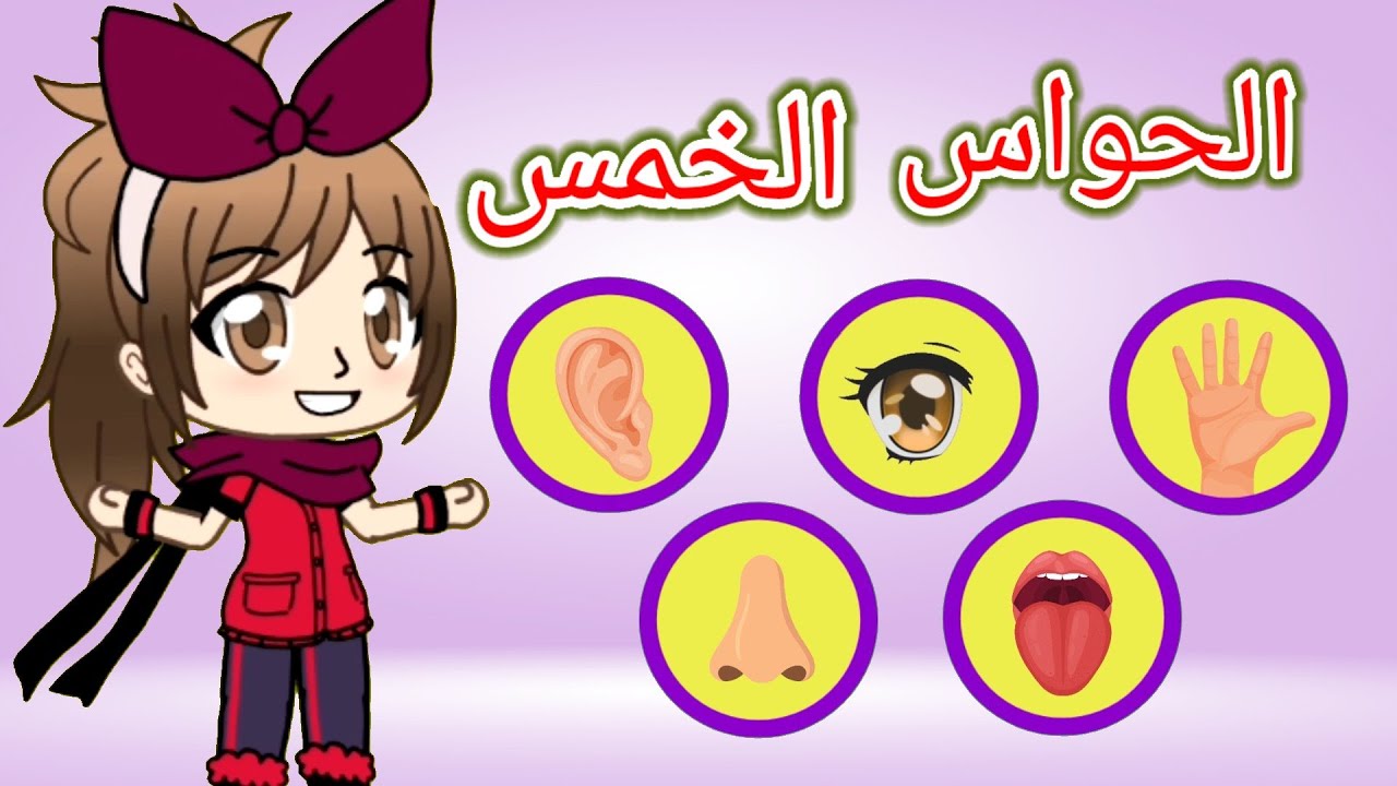 أفكار أنشطة لتعليم الحواس الخمسة للأطفال: دليل ممتع لتعزيز التعلم الحسي